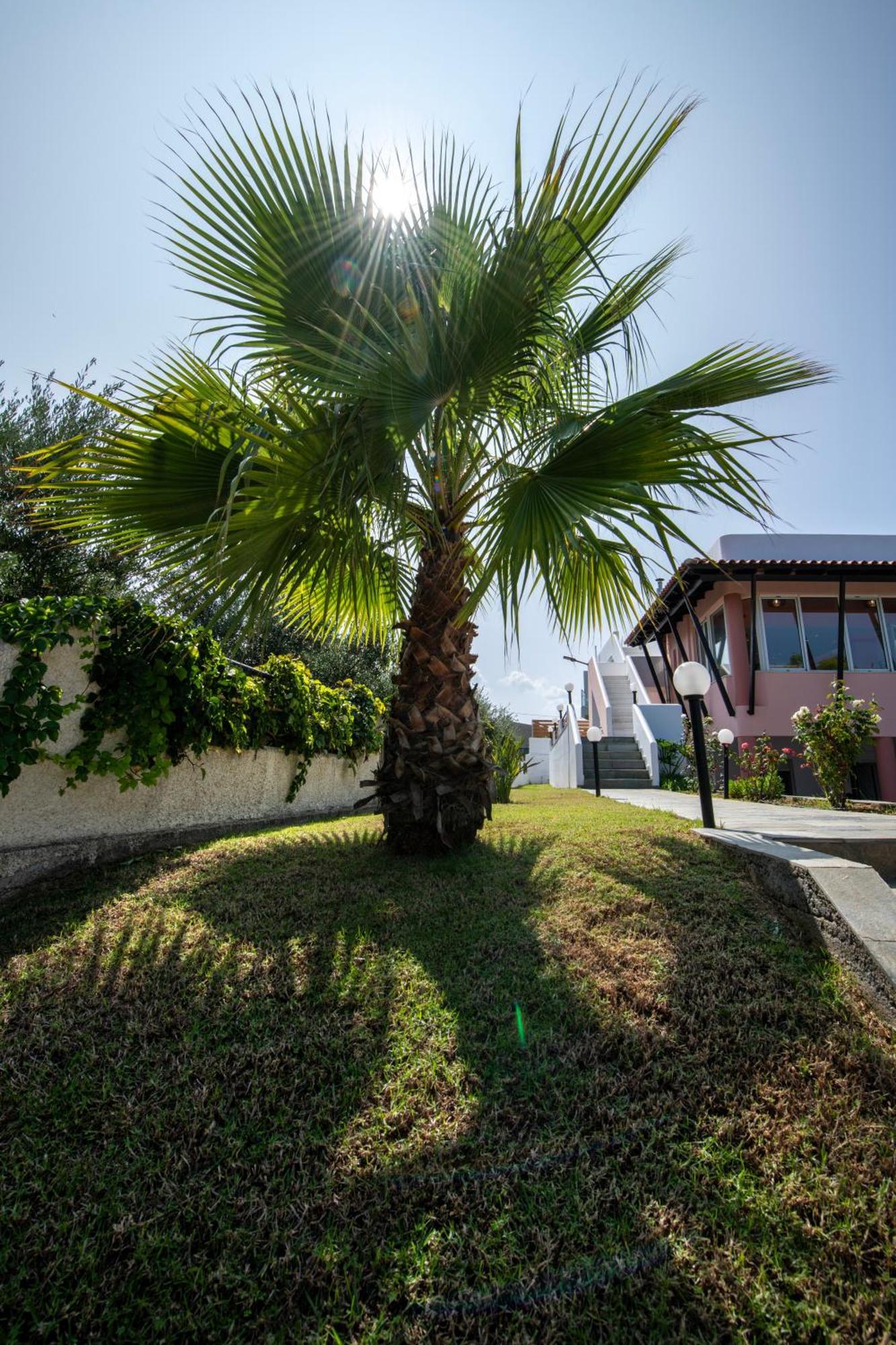 Villa Eleni 100M From The Sea Rapanianá المظهر الخارجي الصورة